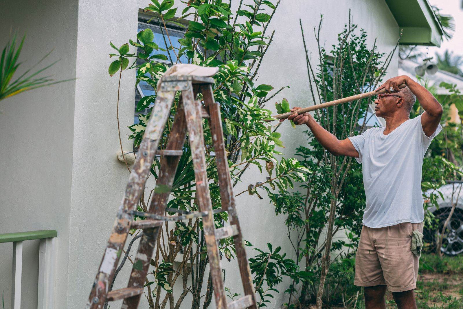 Painting & Property Improvement